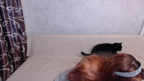 Olivia online show from 09.14.25