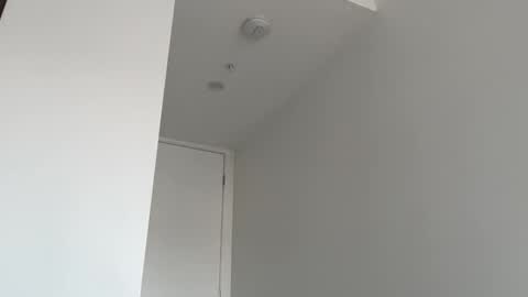 Olivia Brookes online show from 10.26.25