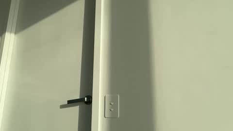 Olivia Brookes online show from 11.17.25