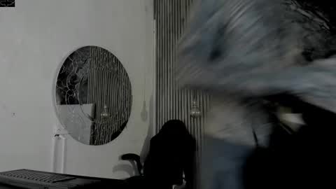     ... online show from 02.15.26