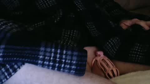 Butch online show from 12.04.24