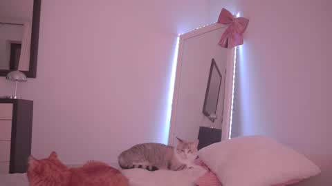 Ariel online show from 02.17.26