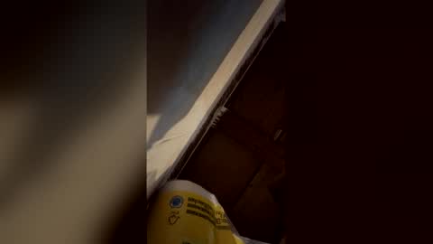 Jolene online show from 04.16.26