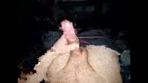 opelator online show from 01.27.25