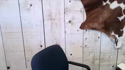 kinkynerd online show from 02.24.25