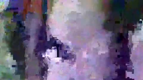 oretrail online show from 02.11.25