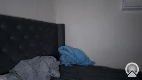 origamicat online show from 02.06.25