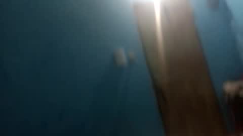 osogor online show from 01.14.26