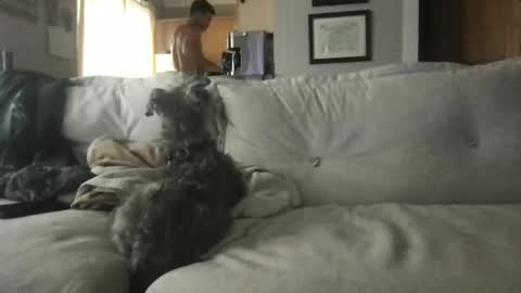 rossignol online show from 09.13.25