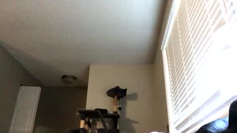 Snapshot of paigechantel chatting on 02.19.26 paigechantel online show from 02.19.26