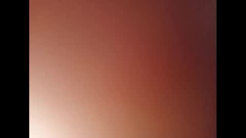   PALA online show from 01.11.25