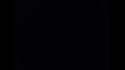   PALA online show from 01.18.25