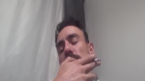   PALA online show from 11.23.25