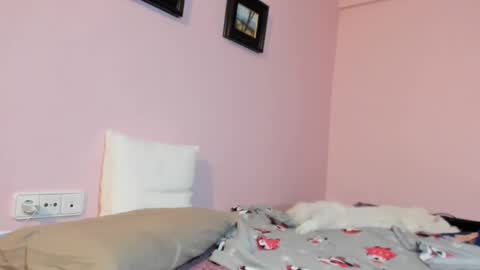 Merce   online show from 01.17.25