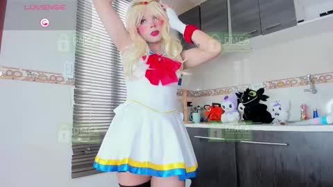 Palmer  online show from 01.17.26