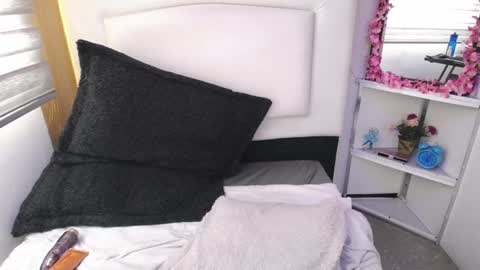 Snapshot of palmer_mix chatting on 01.08.25 Palmer online show from 01.08.25