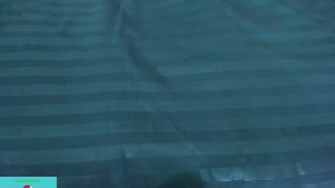 pamela_ambrosia1 online show from 12.13.24