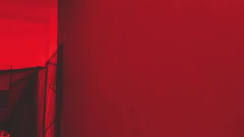 Snapshot of pamelaascott chatting on 11.01.25 P A M online show from 11.01.25