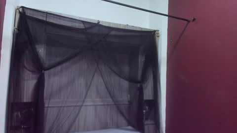  P A M  online show from 02.22.26