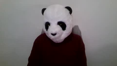 Snapshot of panda_feliz chatting on 01.23.25 Panda online show from 01.23.25