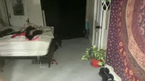 Pantiesofthefae online show from 02.21.25