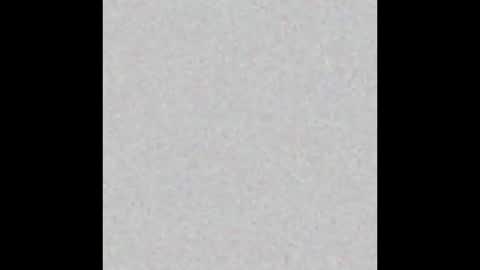 PantsLessTraveler online show from 12.25.24