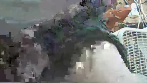 Snapshot of papajb70 chatting on 09.29.25 papajb70 online show from 09.29.25