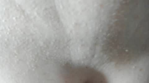 sara and andreu online show from 12.07.24