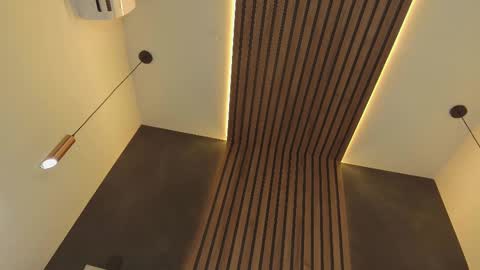 Snapshot of parisfox_ chatting on 02.21.25 PARIS online show from 02.21.25