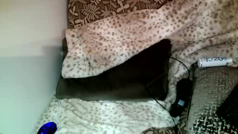 Parlay tellio online show from 12.23.24