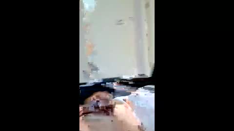 patheticloserbeta online show from 04.01.26