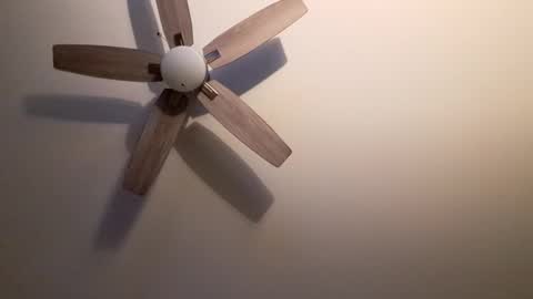 patrick247288 online show from 09.09.25