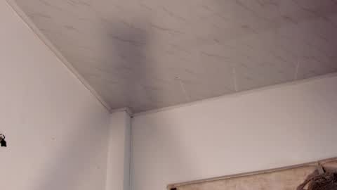 patrik online show from 04.14.26