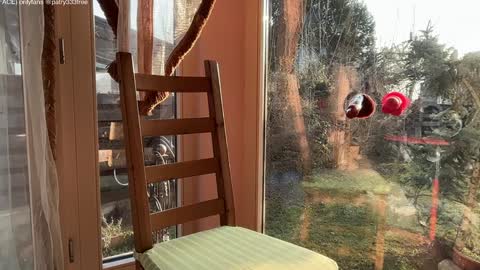 Andreea online show from 03.16.26