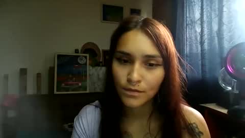 Snapshot of pau_cat chatting on 05.28.26 Pau online show from 05.28.26