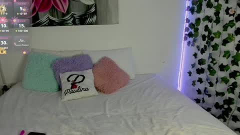 Snapshot of pau_delima__ chatting on 12.28.24 paulina online show from 12.28.24