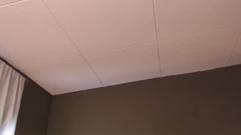 Paul online show from 12.05.25