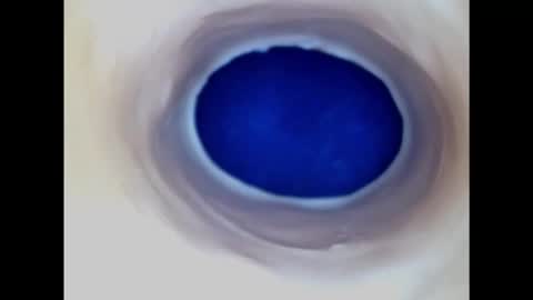 Snapshot of paulainoscente chatting on 02.20.25 Paula 18 Aninhos online show from 02.20.25