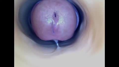 Paula 18 Aninhos online show from 01.11.26