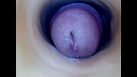 Paula 18 Aninhos online show from 02.04.26