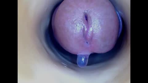 Paula 18 Aninhos online show from 03.02.26