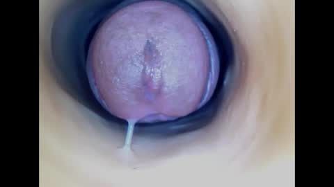 Paula 18 Aninhos online show from 04.12.26