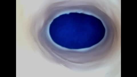 Snapshot of paulainoscente chatting on 06.19.26 Paula 18 Aninhos online show from 06.19.26