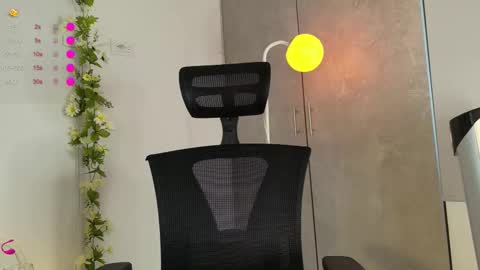 paulirose online show from 02.24.26