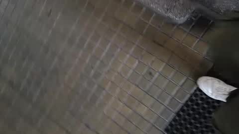 Snapshot of paulobascet chatting on 01.11.25 paulobascet online show from 01.11.25