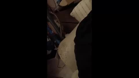 Snapshot of paulobascet chatting on 01.12.25 paulobascet online show from 01.12.25