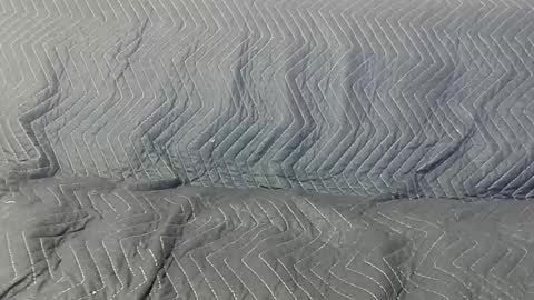 paupam online show from 01.26.25