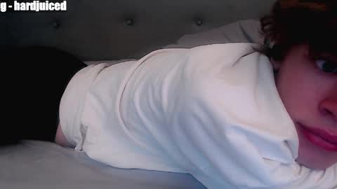 pawclaw online show from 04.10.26