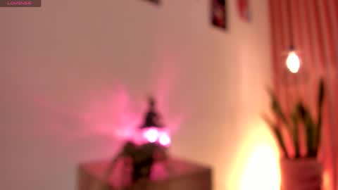 Dani online show from 06.02.26