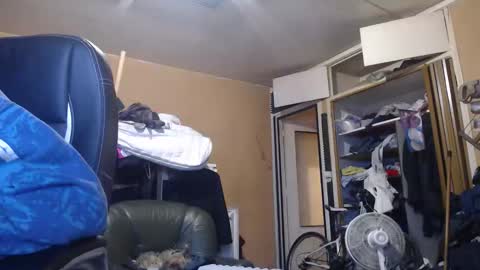 pc8474408 online show from 03.01.26